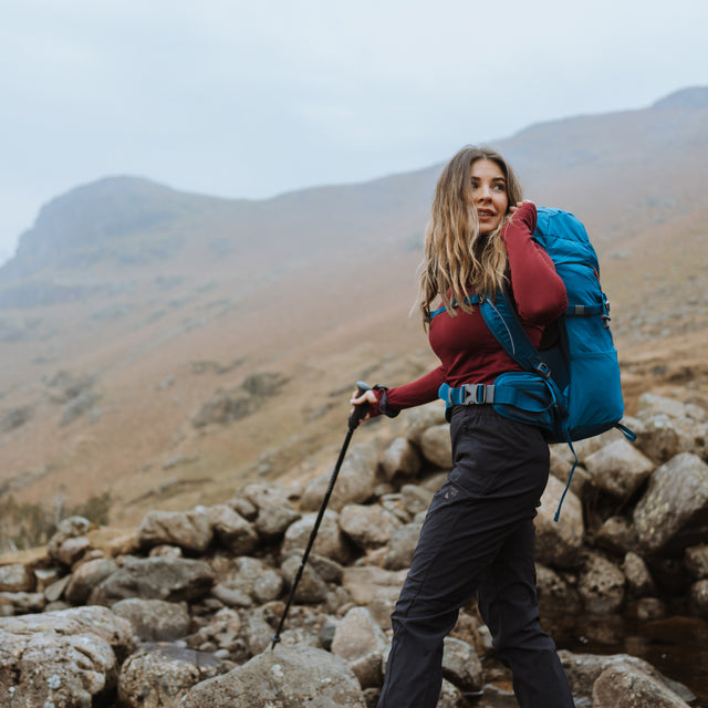 Hiker Shock Pole