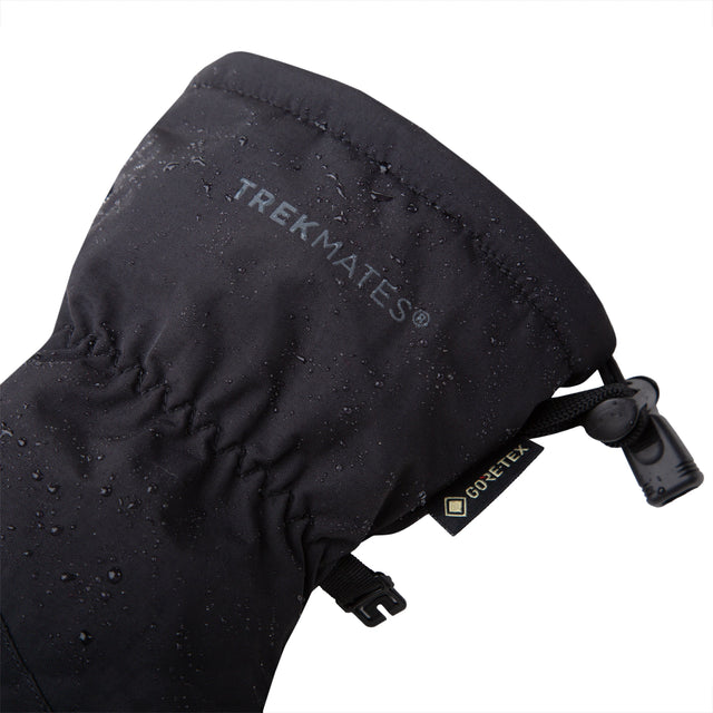 Women's Chamonix GTX Mitten