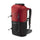 TM-01275 Chilli Pepper
